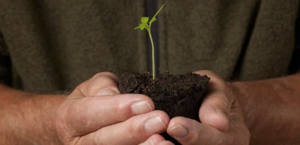 startup bisnis pemula