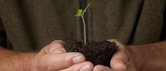 startup bisnis pemula